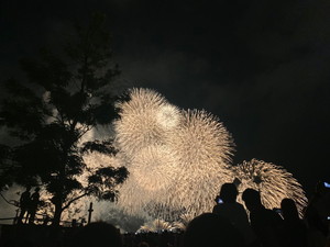 hanabi 