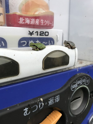 自販機の店番